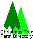 Christmas Tree Farm Directory