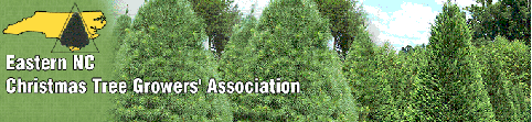 Eastern North Carolina Christmas Tree Growers Association
