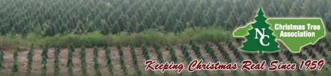 North Carolina Christmas Tree Association