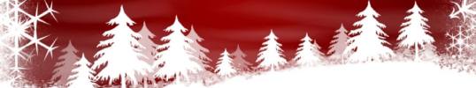 South Carolina Christmas Tree Association